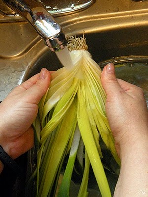 Clean leek leaves